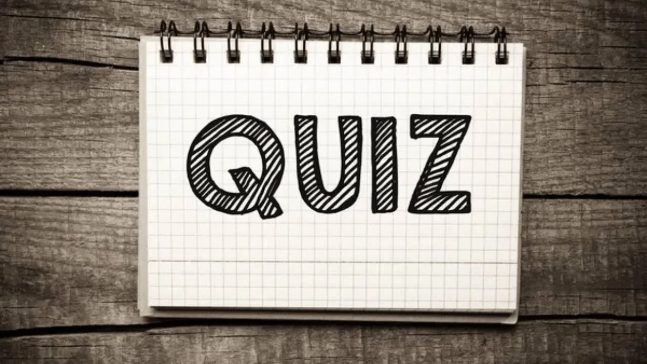 Benefits Of Being A Bird Dog And Getting Leads - Quiz lesson poster